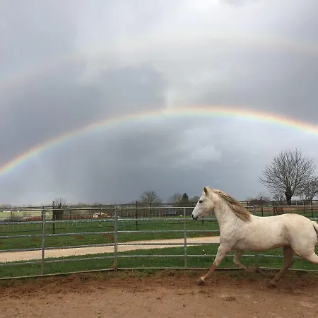 Arizona Dream Hébergement de vacances