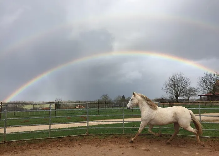 Arizona Dream Casa vacanze